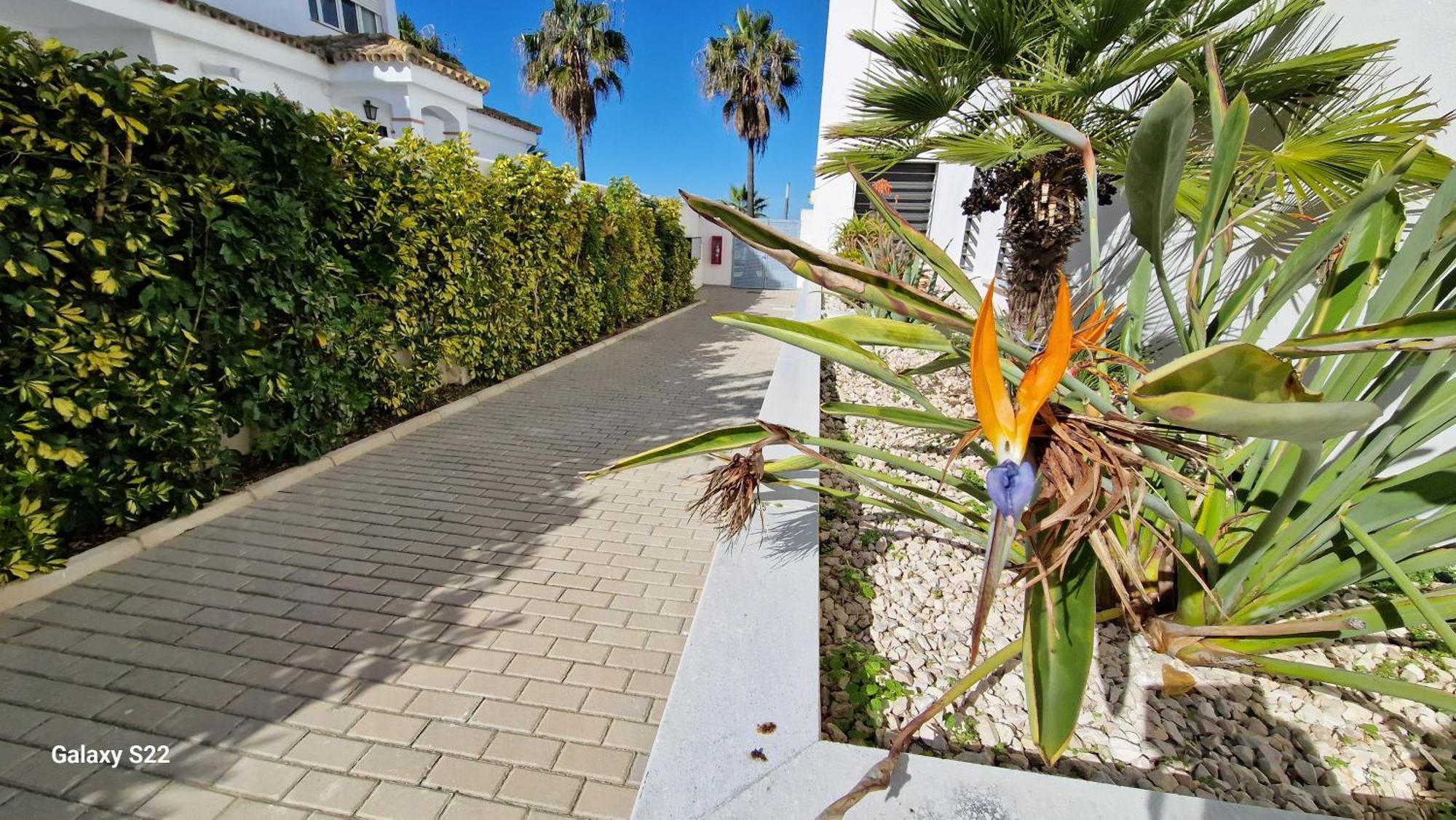 Boutelou Playa Con Vistas Al Mar Apartamento Sanlúcar de Barrameda Exterior foto